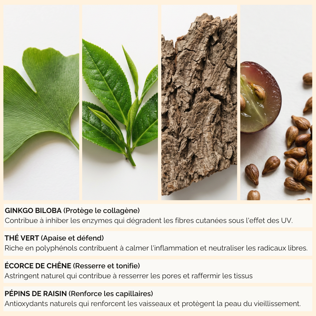 Protocole Activation